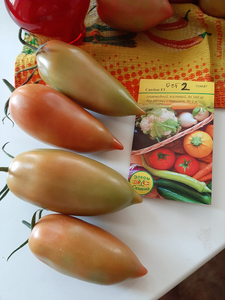 агрофирма наш сад. помидоры в ведре. сорта томатов агрофирмы наш сад. домашний помидор интернет магазин. домашний помидор интернет магазин.