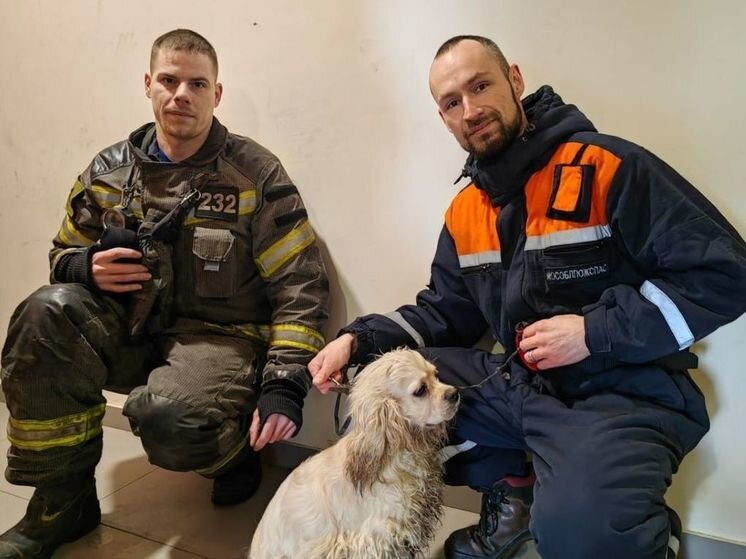     Фото: пресс-служба ГКУ МО "Мособлпожспас"