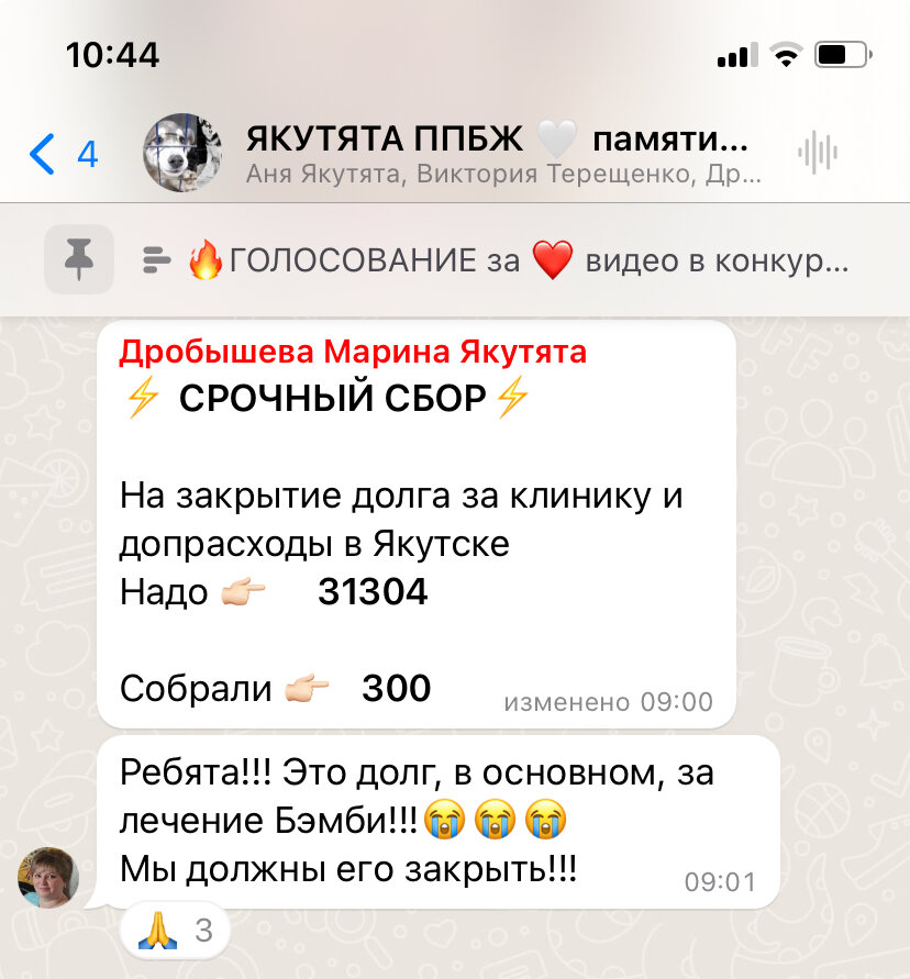 Якутята ппбж. Якутята ппбж. Якутята ппбж. Якутята ппбж. Якутята ппбж.