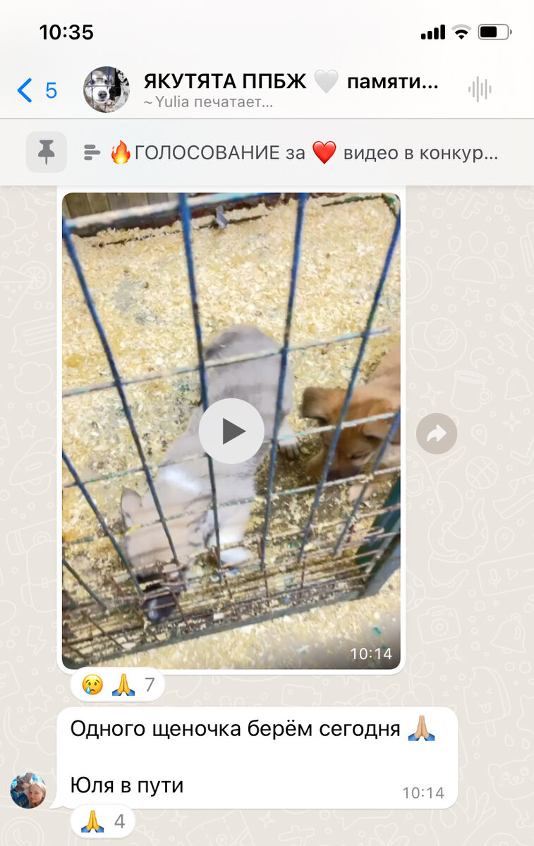 В итоге забрали двоих 🙏