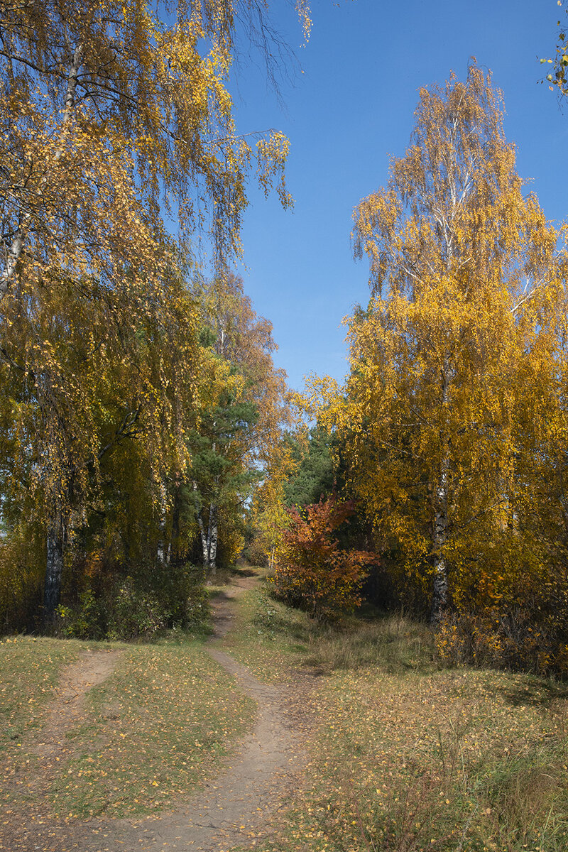 В хорошую погоду можно прогуляться по остаткам крепостного вала
