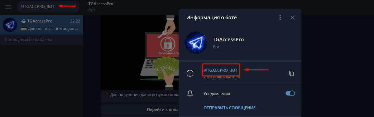Бот телеграмм для просмотра переписки. Боты в тг со стабилизацией. Телеграмм боты 2024. Телеграмм bot. Телеграмм бот.