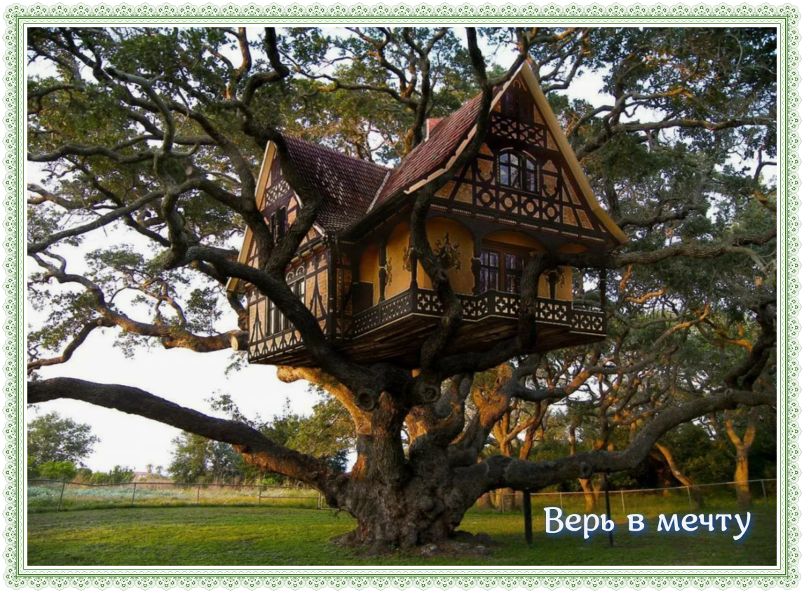 Домики на деревьях Мечта детства 30 фотографий Отель на дереве Верь в мечту  Часть 1 | Мастерская Чайка | Дзен