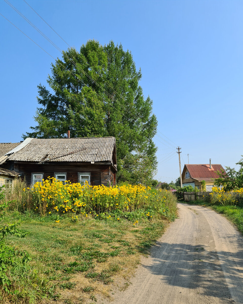 Пусторадицы 2022г.