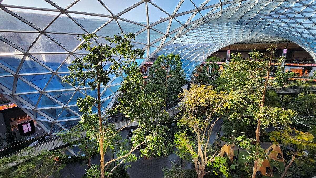 Фото: wikimedia.org/Renek78