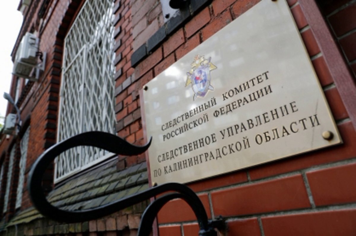    СК готовит уголовное дело по факту скандала с участие генерала ФТС