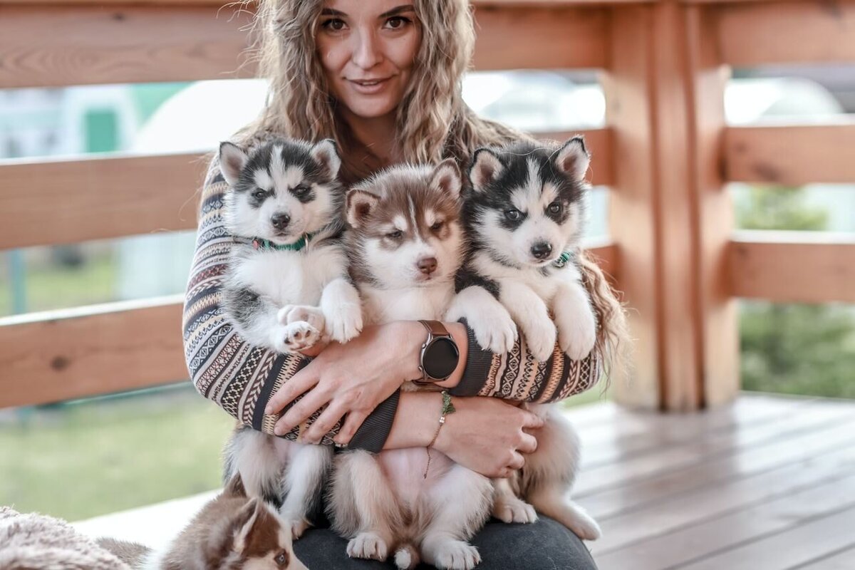 Щенки с усыпления от разведенцев и я