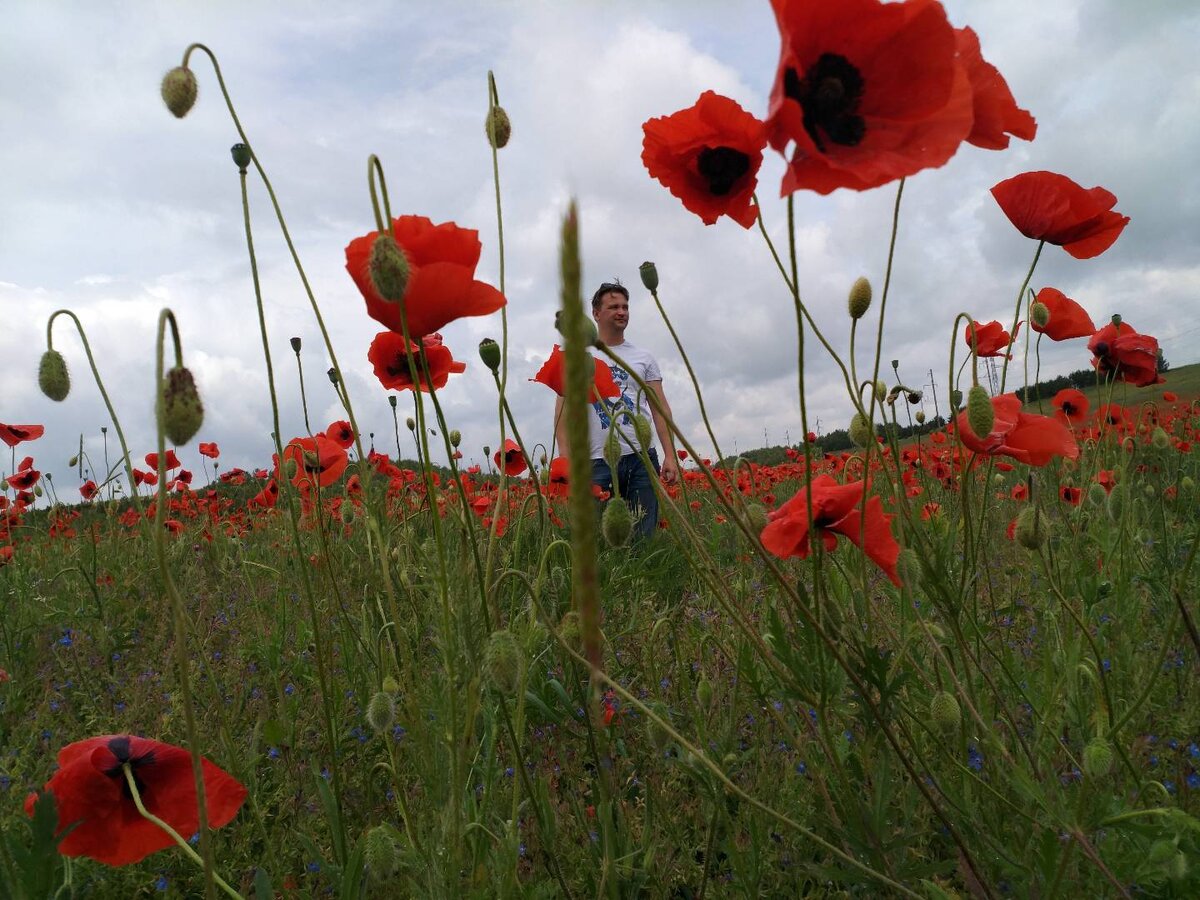 Первые деньги