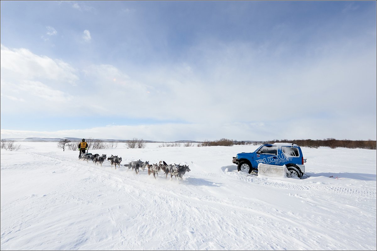    В гонке «Берингия. Авача» на Камчатке примут участие 20 спортсменов