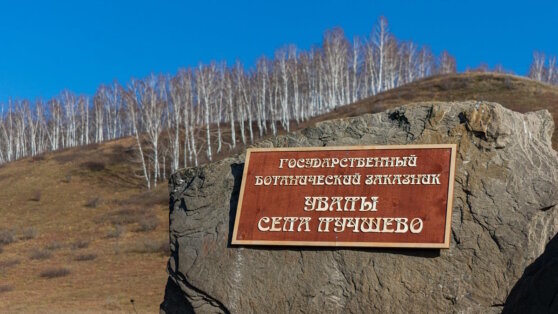    "Кузбассразрезуголь" выпустил путеводители по экологическим тропам региона Пётр Сергеев
