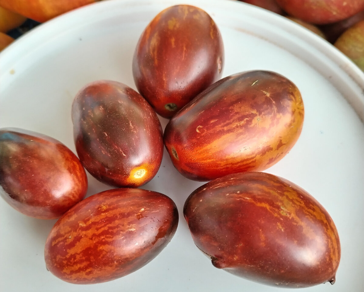 Бой с тенью