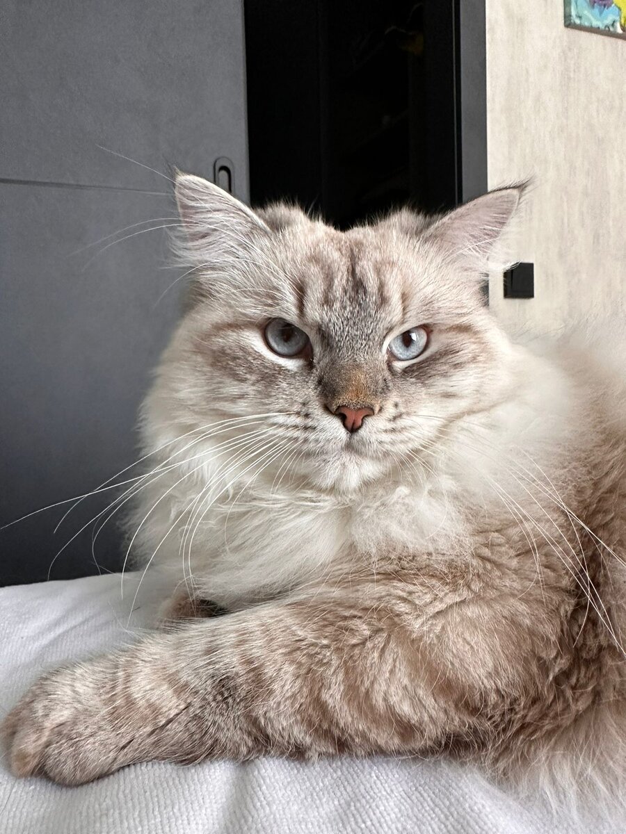 Байкал-великолепный