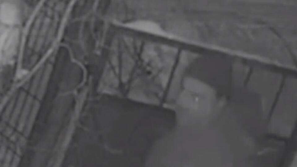 Фото: РЕН ТВ