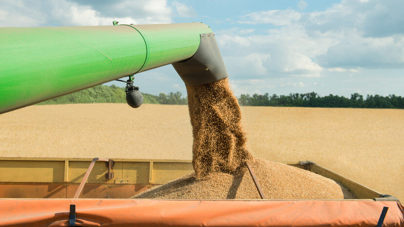   Gettyimages.ru Dmytro Shestakov