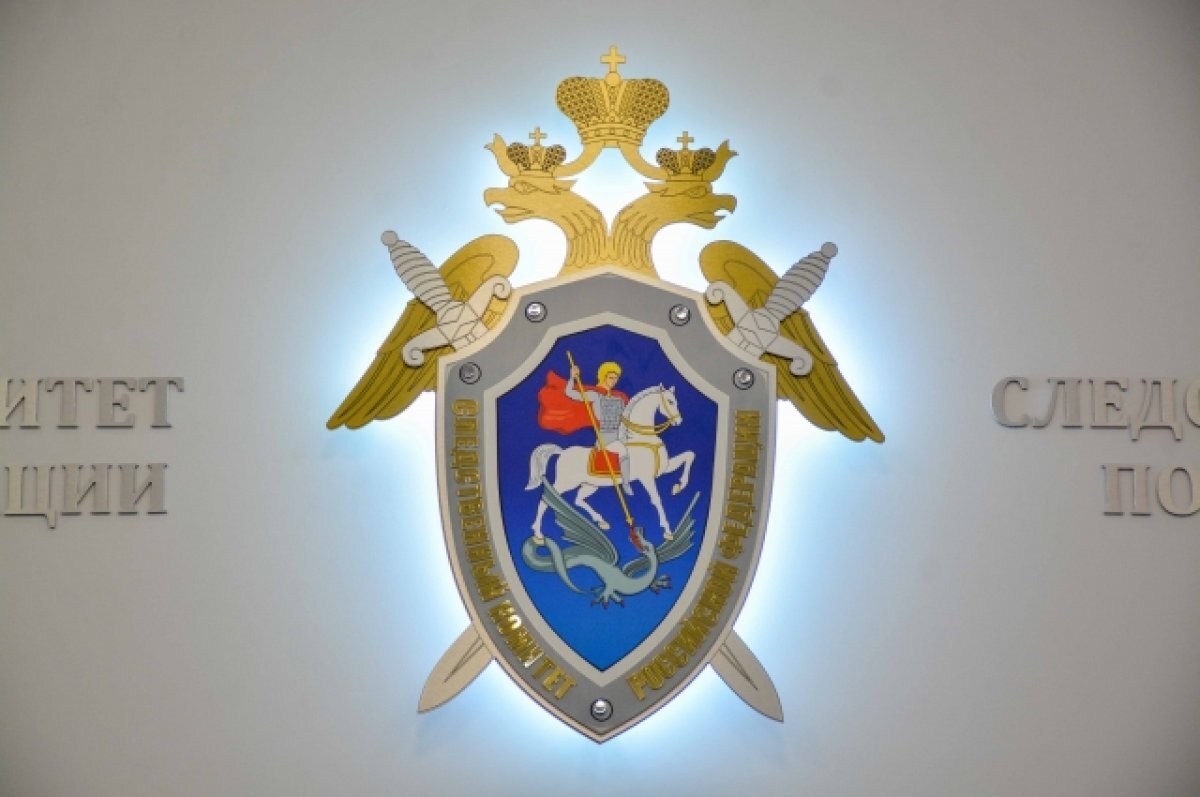    Бастрыкину доложат о ходе расследования дела о драке в на мосту Иркутске