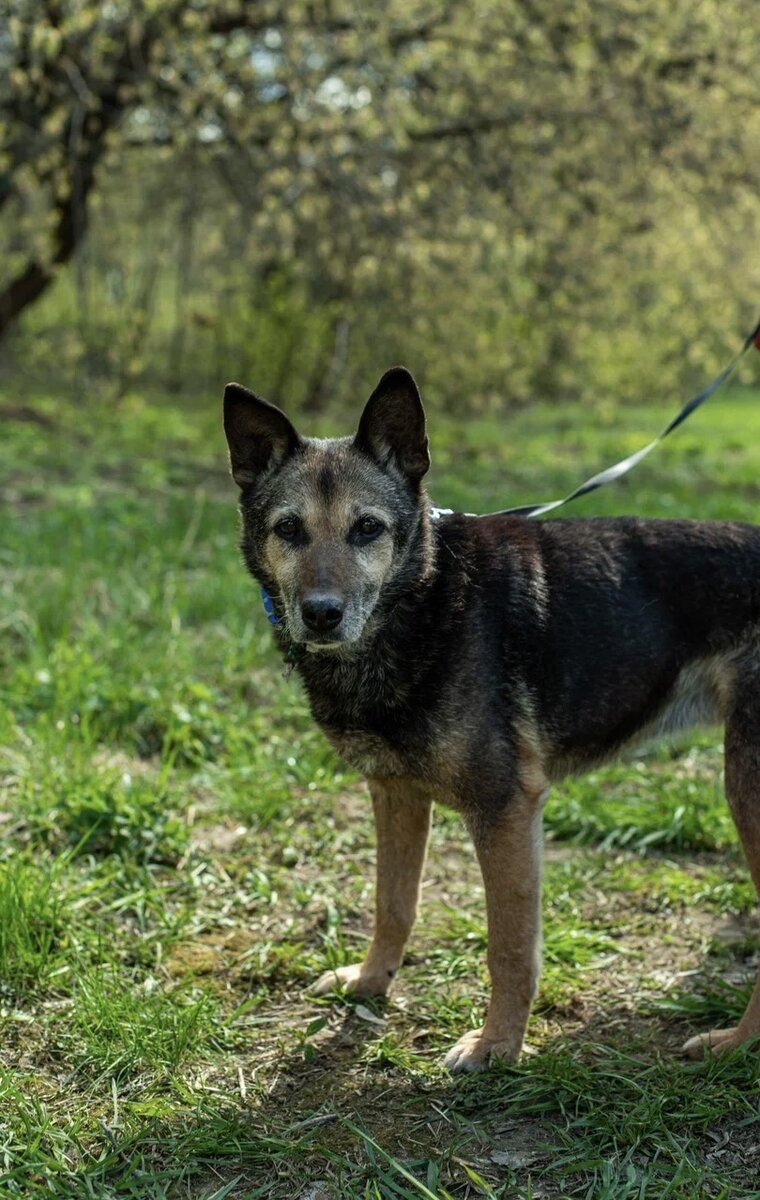 Быстро и без всяких. Быстро и без всяких. Физкультура для похудения живота. Правильная стойка на руках. Гамак под столом для ребенка.