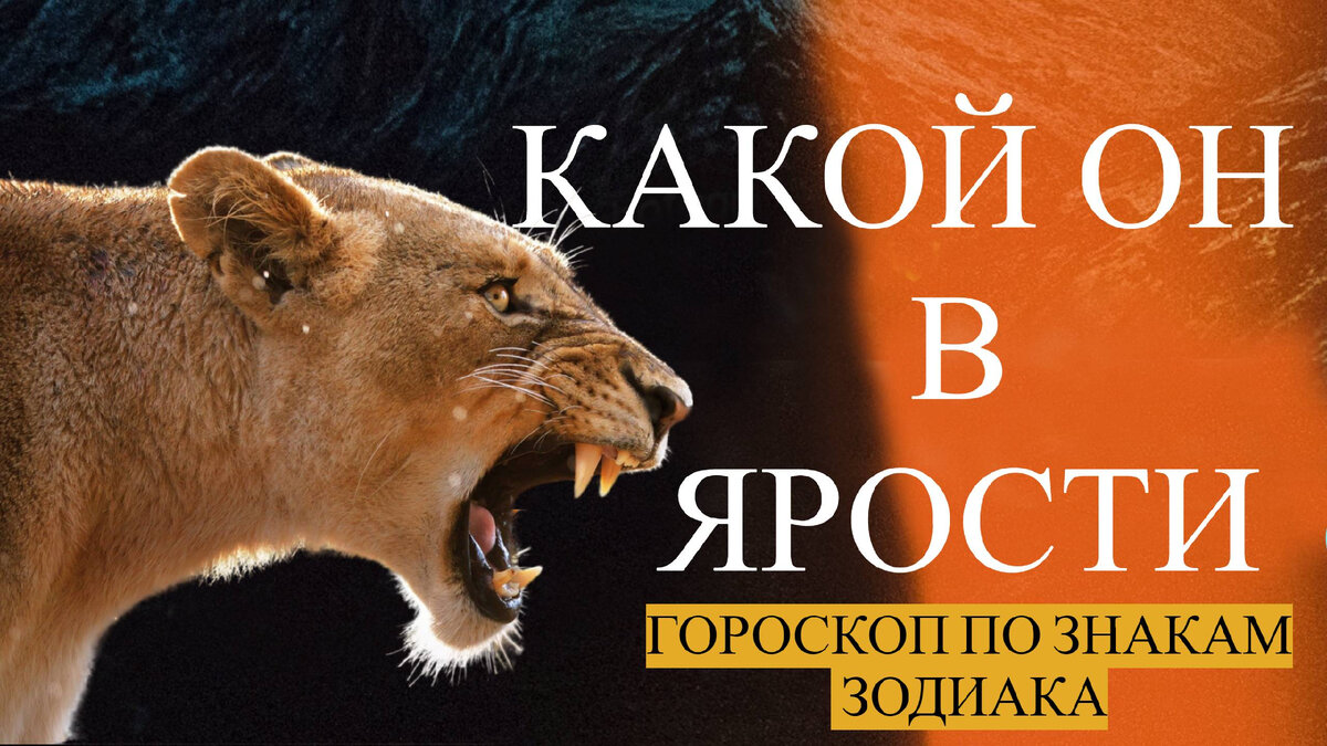 Картинка к статье