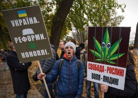    Житница «травки». Что стоит за решением Зеленского о легализации марихуаны