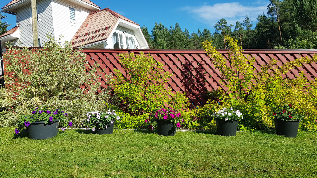 2023 год, три года с момента создании данной зоны