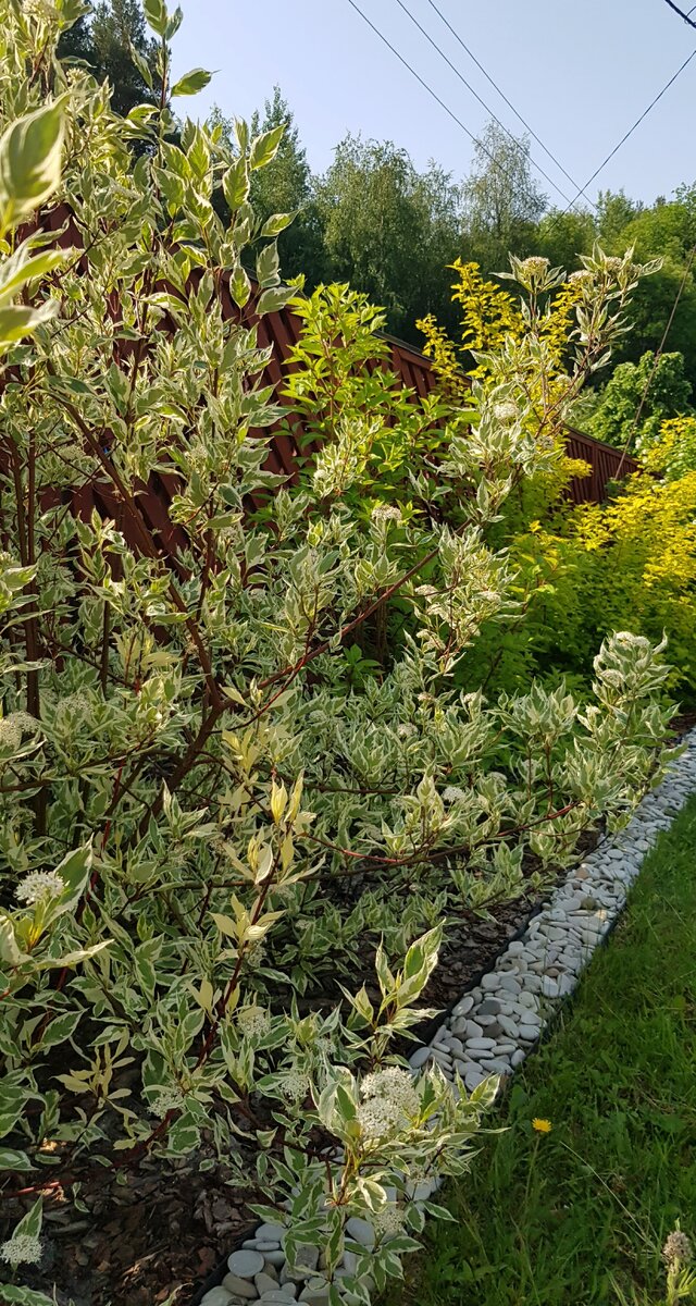 2023 год, три года с момента создании данной зоны