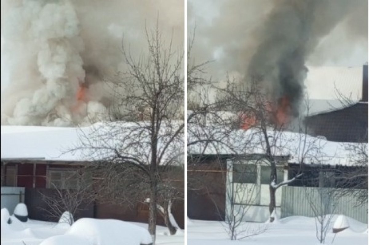    скриншот с видео