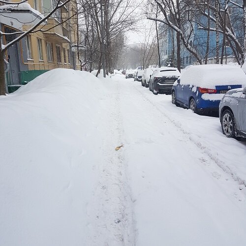 Фото автора