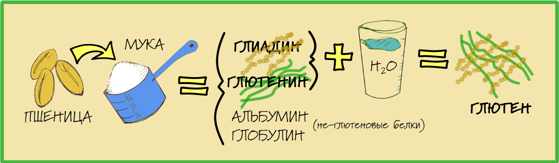 Питание что это. Питание что это