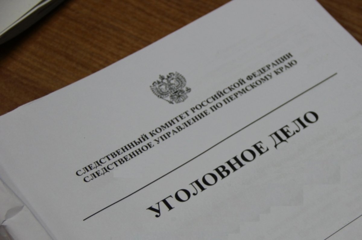    На бывшего сотрудника ФТС возбудили дело за насилие в отношении полицейских