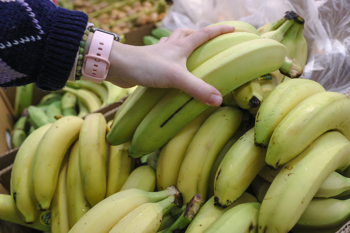 Откуда повезут бананы в россию