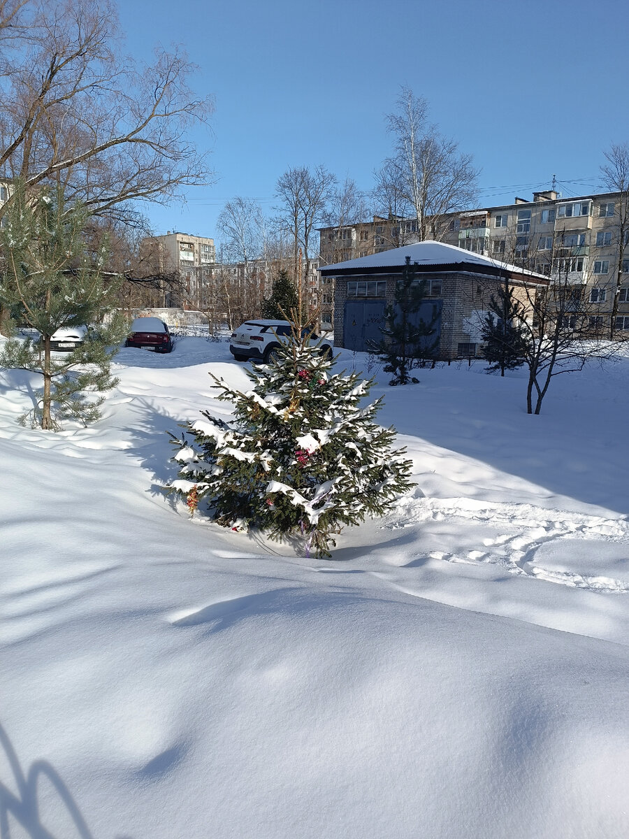 Фото автора канала 