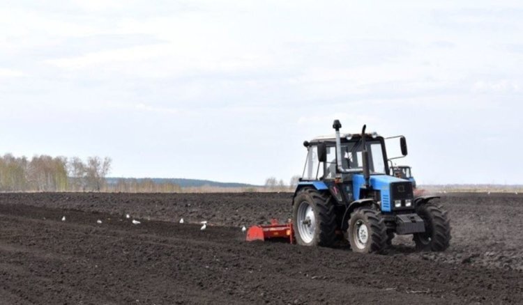    За пятилетку аграрии Дагестана увеличили минеральные подкормки почти в 4 раза
