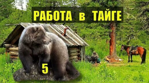 Жили 3 медведя