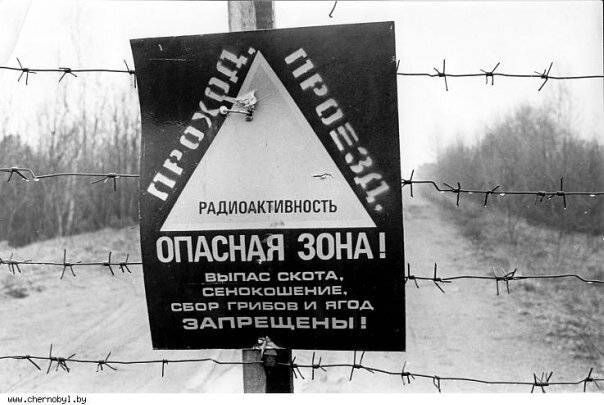 Именно Легасов принимал непосредственное участие в организации процесса ликвидации последствий аварии на атомной станции в Чернобыле.-5