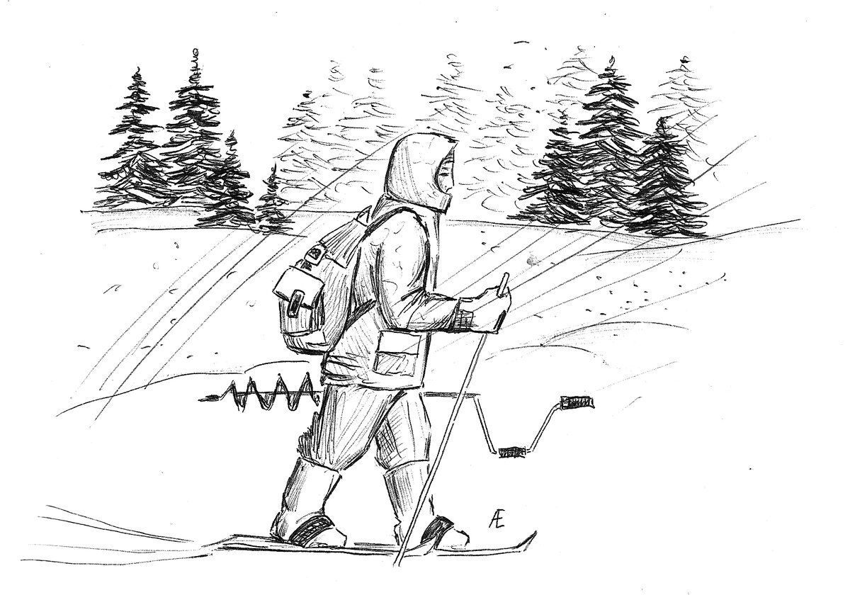 Рисунок: Елена Аллаярова, «КЗ».