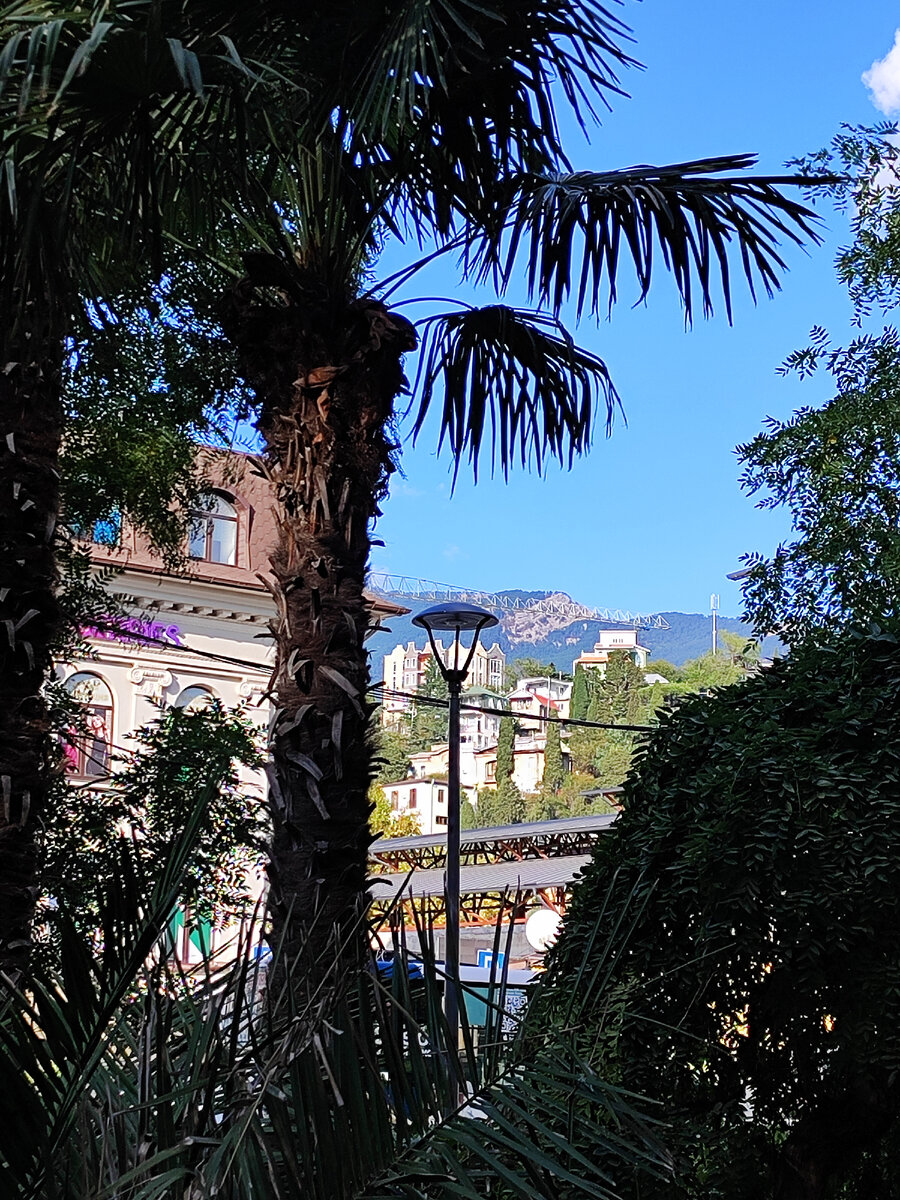 И горы, и пальмы. 