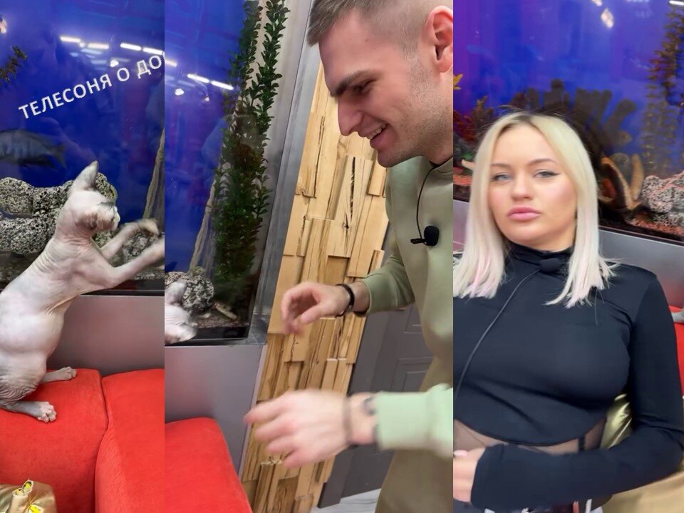 новый знак зодиака. гороскоп по знакам зодиака. дева 2 февраля. знаки зодиака и их даты рождения. весы гороскоп нс какого числа.