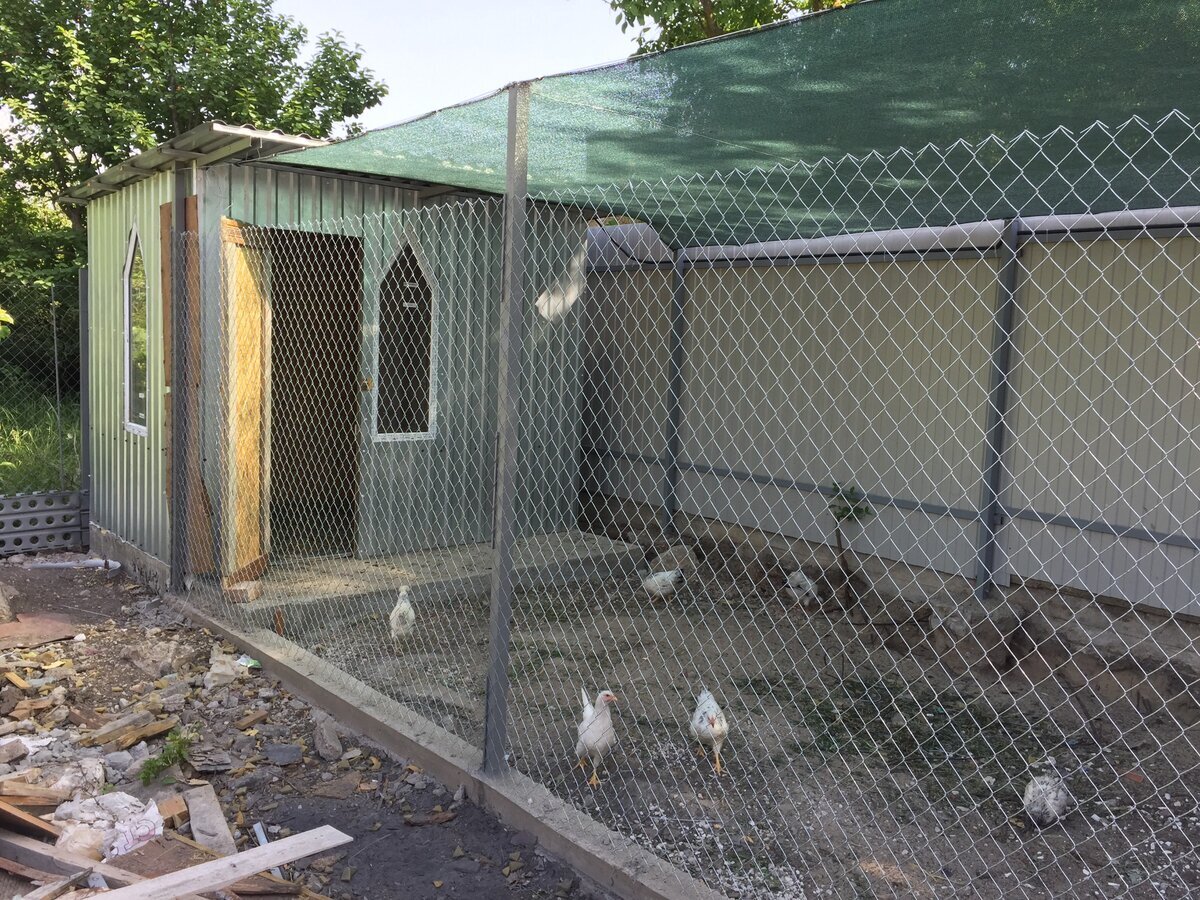 На примере фото из интернета вольер из проф трубы 