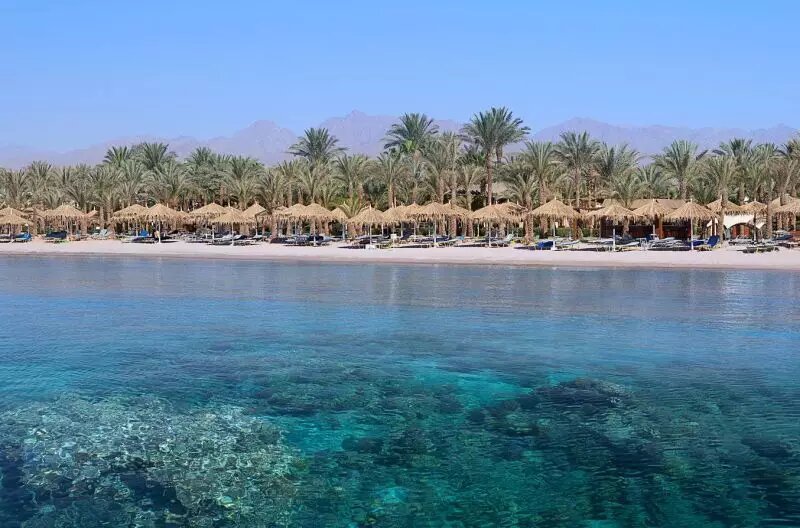 Туры в шарм шейх