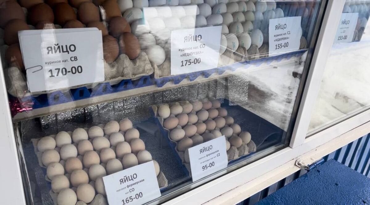 Адвокат лысов орел. Дело орловских. Фёдор козин орел. Дело орловских. Управление культуры и архивного дела орловской области.