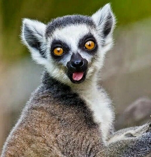 Фото взято из открытых источников