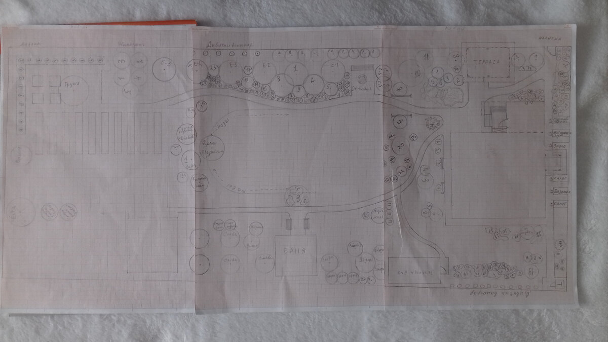 План ландшафтого дизайна, собственноручно (фото автора)