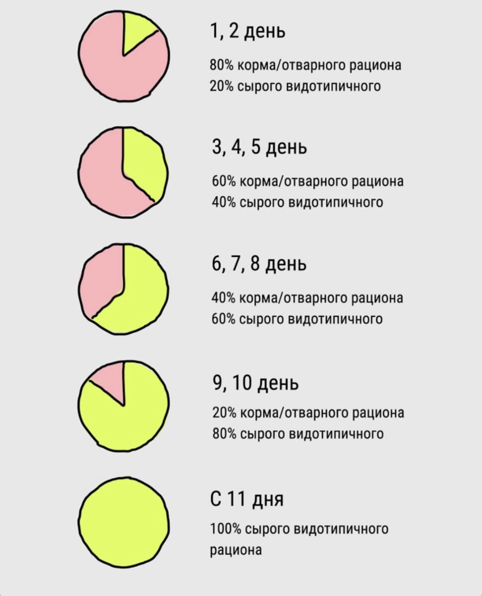 Натуральное питание кошек. | Два ориентала | Дзен