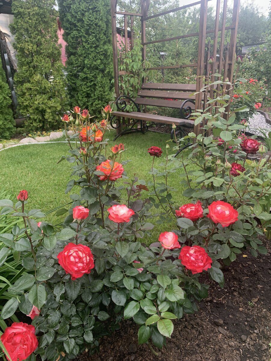 фото Светланы