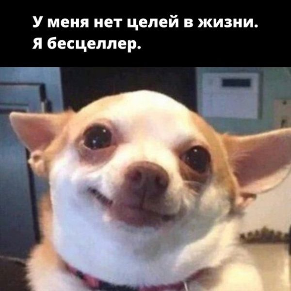 Них так и не