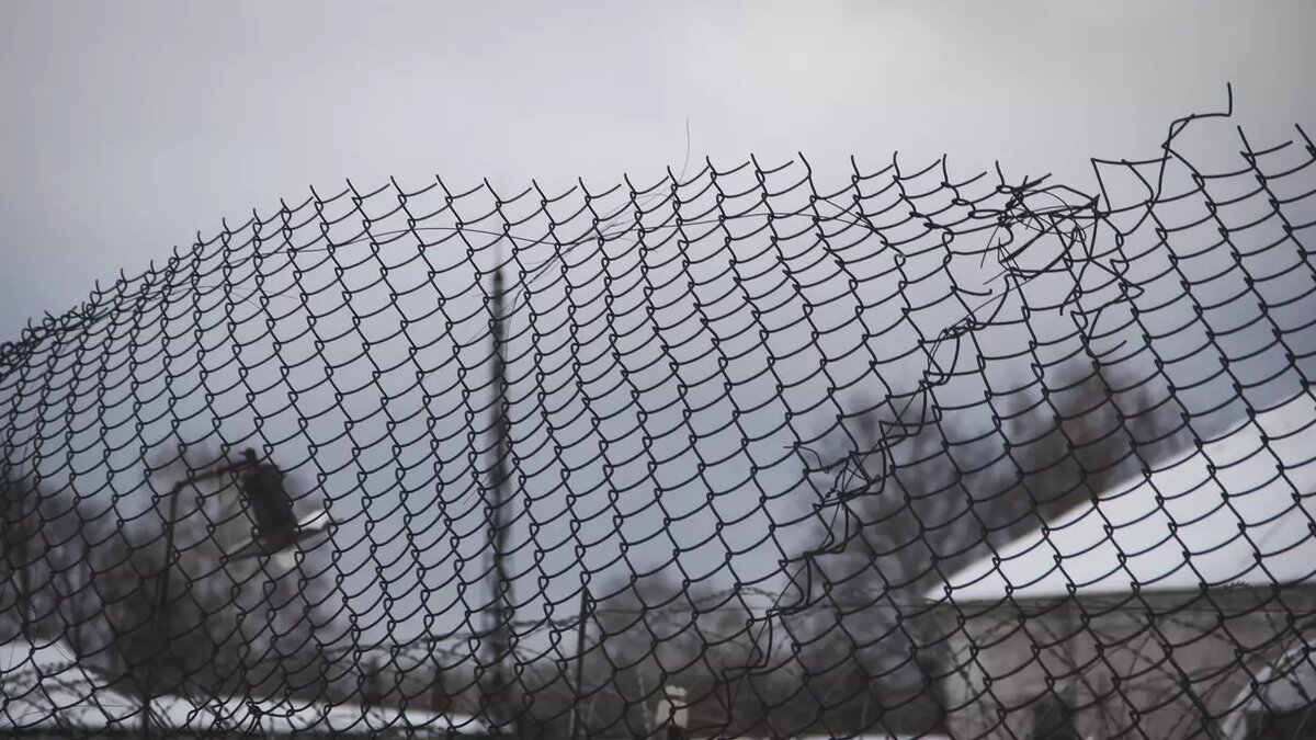     Алексей Навальный* (иноагент, внесен в список террористов и экстремистов РФ) умер в исправительной колонии №3 «Полярный волк» в поселке Харп. Тюменский адвокат Павел Руснаков рассказал «Нашему городу» об условиях жизни в этом учреждении и о том, каким оттуда вернулся его клиент.