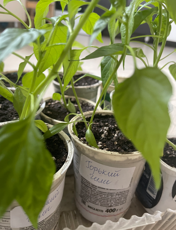 Прошлогоднее фото