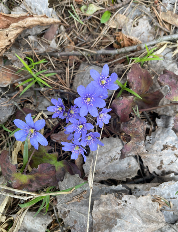 Прошлогоднее фото