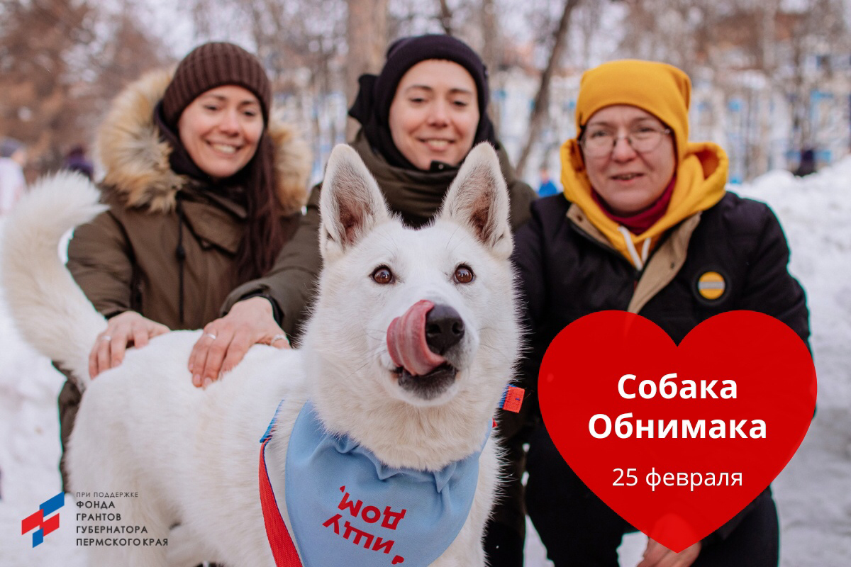 Обнимать собак и помогать животным. Собака-обнинимака | Приют Матроскин  Пермь | Дзен