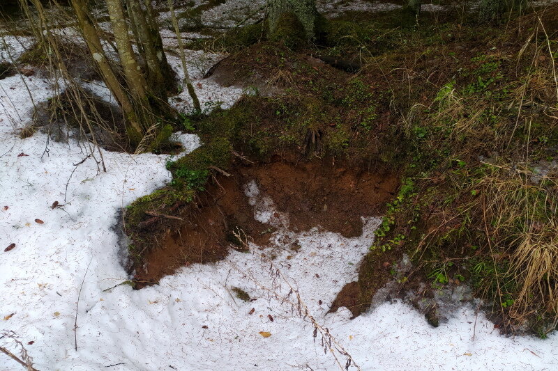    Фото: Maksim Konstantinov/globallookpress