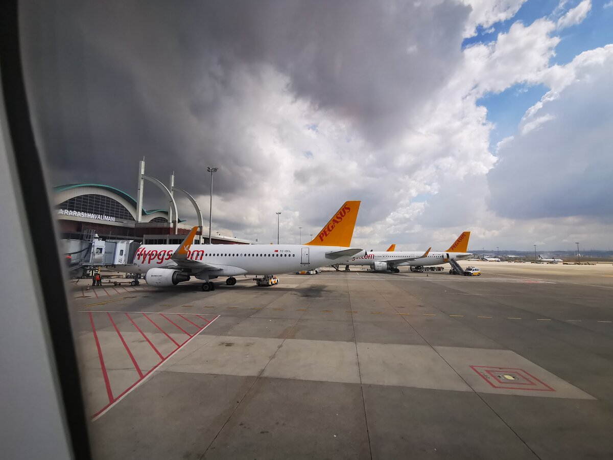 Сколько же у меня Пегасов на фото накопилось!